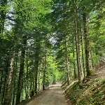 Apartamento Le Refuge Pyreneen - Climatisation Parking Wifi Espace De Travail - Neuf- Tres Belle Vue Sur Les Pyrenees - 2 Lits - Speciale
