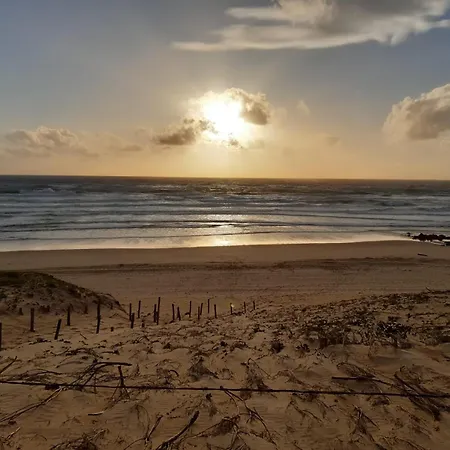 Appartement Le Refuge Pyreneen - Climatisation Parking Wifi Espace De Travail - Neuf- Tres Belle Vue Sur Les Pyrenees - 2 Lits - Speciale *