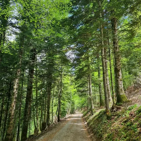 Apartment Le Refuge Pyreneen - Climatisation Parking Wifi Espace De Travail - Neuf- Tres Belle Vue Sur Les Pyrenees - 2 Lits - Speciale